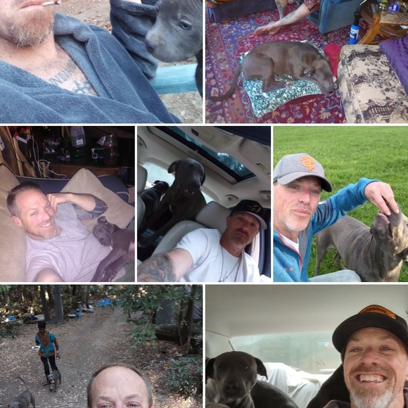 Meet your Posher, Thomas - Picture 13 of 16